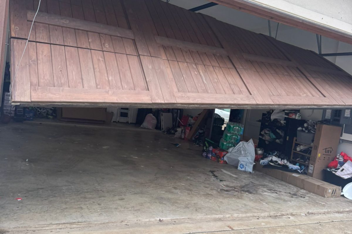 WhatsApp Image 2025-01-26 at 14.46.34