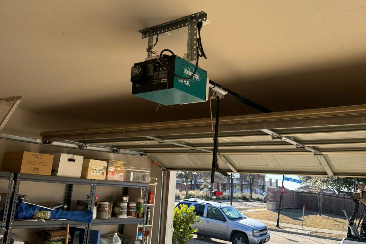 WhatsApp Image 2025-01-28 at 11.47.40