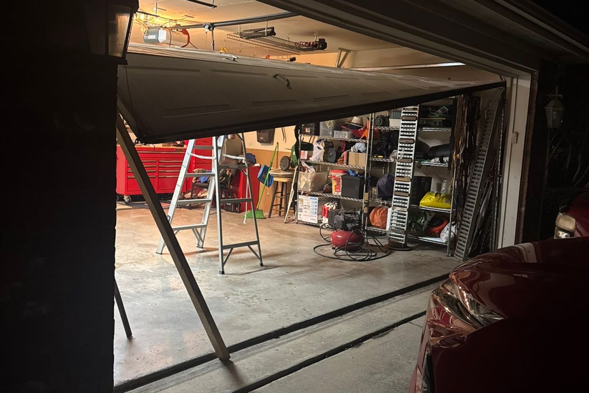 WhatsApp Image 2025-01-28 at 11.47.42